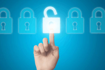 Cybersecurity in Organizations